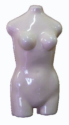 Weibliches Torso